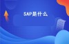 SAP是什么（sap系统是什么意思？）